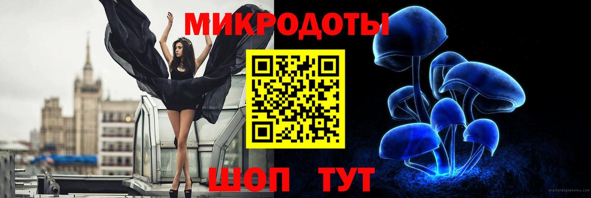 Обнинск  как найти   Вход с VPN  Псилоцибиновые грибы Cubensis 